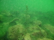 Fuehlinger See 08-2016 - 51