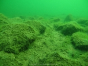 Fuehlinger See 08-2016 - 52