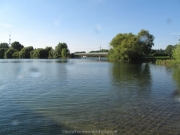 Fuehlinger See 08-2016 - 64
