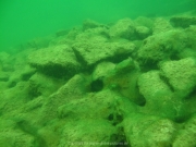 Fuehlinger See - 105