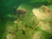 Fuehlinger See - 106