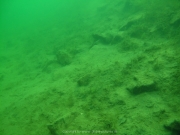 Fuehlinger See - 112