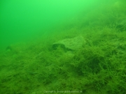 Fuehlinger See - 120