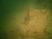 Fuehlinger See - 121