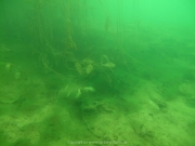 Fuehlinger See - 134