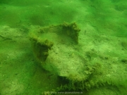 Fuehlinger See - 137