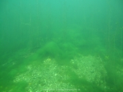 Elbsee 08-2016 - 16