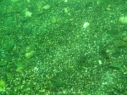 Elbsee 08-2016 - 21