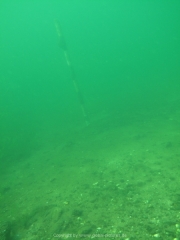 Elbsee 08-2016 - 30