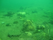 Elbsee 08-2016 - 35
