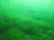 Elbsee 08-2016 - 38