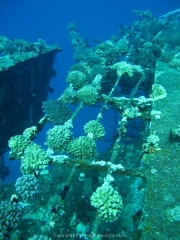 Soma Bay 09-2016 - 055
