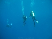 Soma Bay 09-2016 - 061