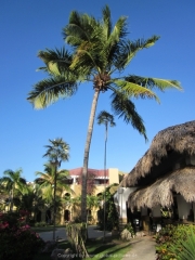 DomRep - Sosua 012