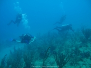 DomRep - Sosua 029