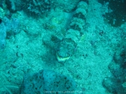 DomRep - Sosua 031