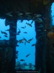 DomRep - Sosua 114