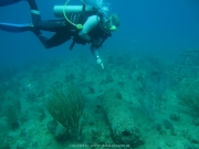 DomRep - Sosua 139