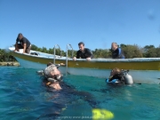 DomRep - Sosua 150