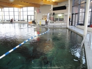 TSG ToDi Belgien - 07