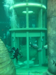 TSG ToDi Belgien - 14