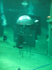 TSG ToDi Belgien - 16