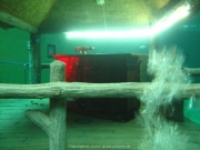 TSG ToDi Belgien - 17