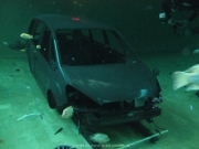 TSG ToDi Belgien - 19