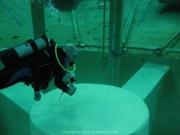 TSG ToDi Belgien - 24