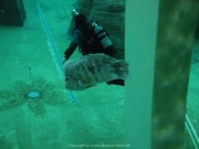 TSG ToDi Belgien - 25