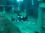 TSG ToDi Belgien - 30