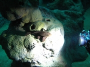 TSG ToDi Belgien - 31