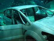 TSG ToDi Belgien - 34