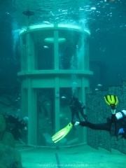 TSG ToDi Belgien - 37