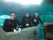 TSG ToDi Belgien - 40