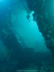 Bali-Dive-039