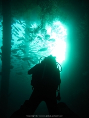 Bali-Dive-040