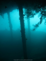 Bali-Dive-065