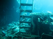 Bali-Dive-072