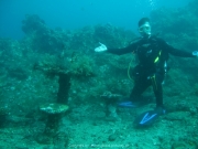 Bali-Dive-092