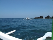 Bali-Dive-096
