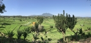 Bali-002