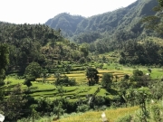 Bali-005