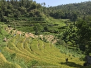 Bali-006