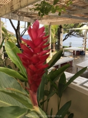Bali-031