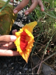 Bali-051