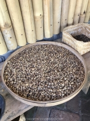 Bali-057