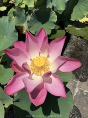Bali-078