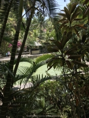 Bali-101