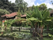 Bali-119